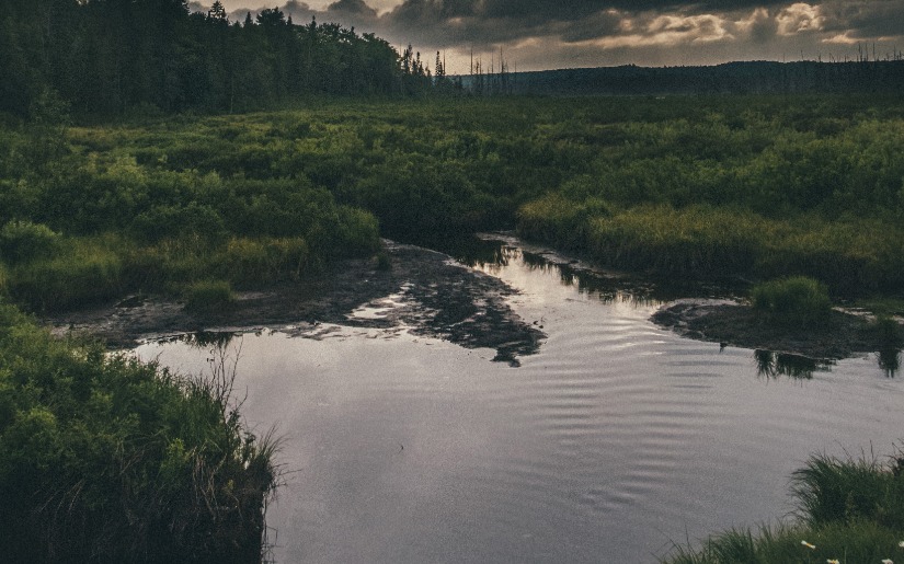 Biochar Use In Stormwater Management